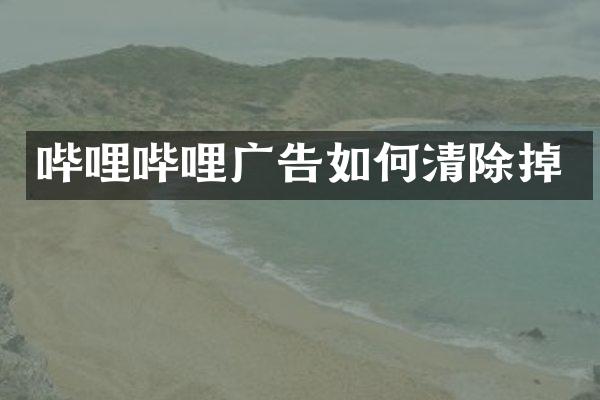 哔哩哔哩广告如何清除掉
