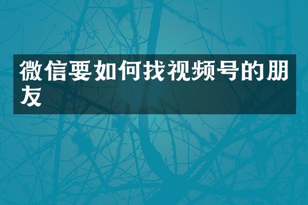微信要如何找视频号的朋友