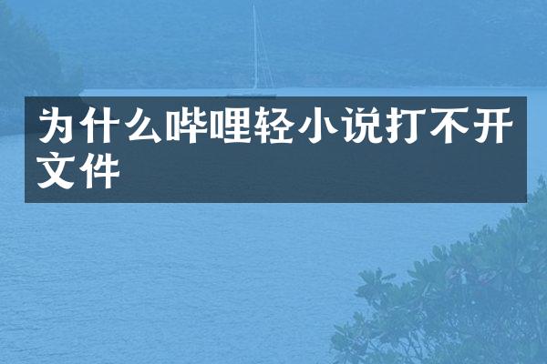 为什么哔哩轻小说打不开文件