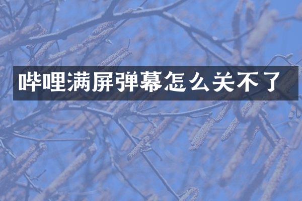 哔哩满屏弹幕怎么关不了