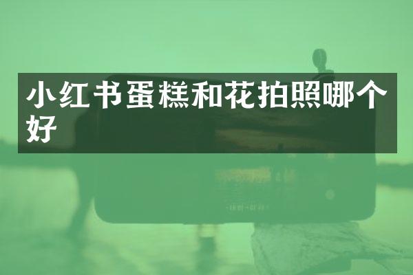 小红书蛋糕和花拍照哪个好