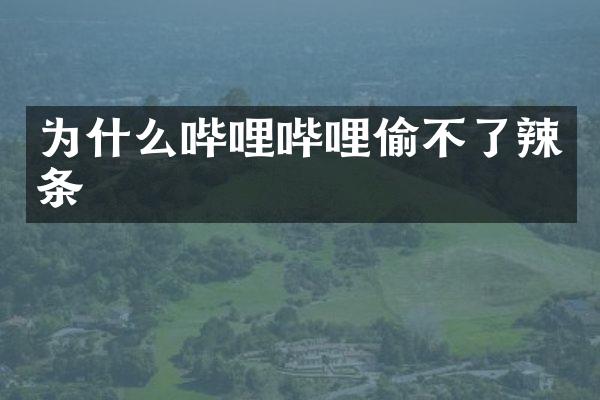 为什么哔哩哔哩偷不了辣条