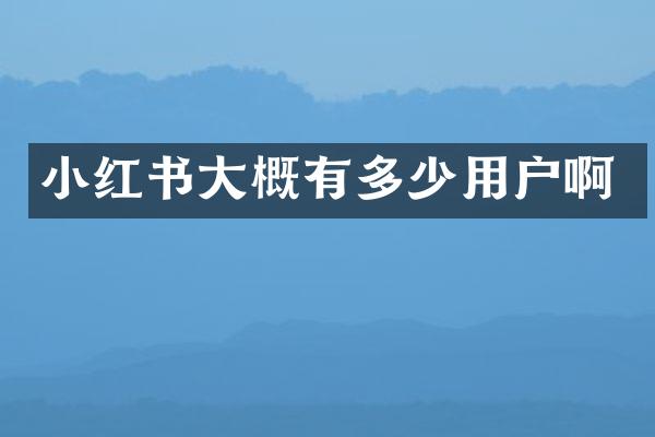 小红书大概有多少用户啊