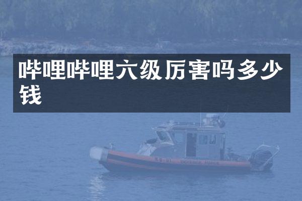 哔哩哔哩六级厉害吗多少钱