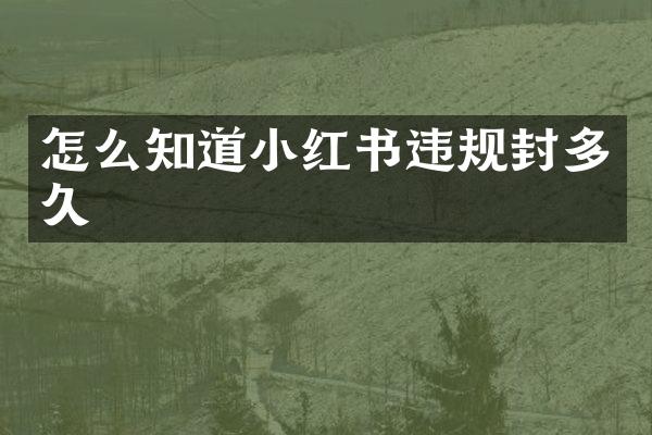 怎么知道小红书违规封多久