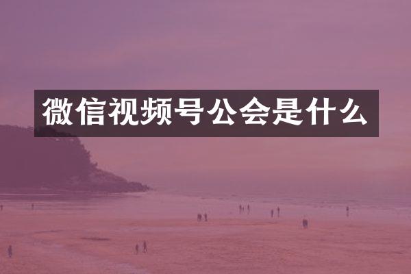微信视频号公会是什么