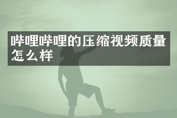 哔哩哔哩的压缩视频质量怎么样