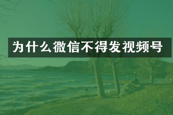 为什么微信不得发视频号