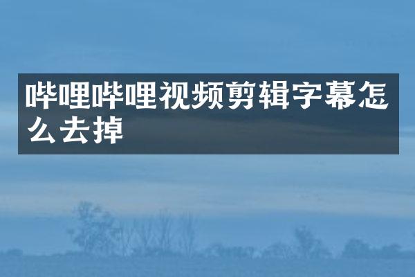 哔哩哔哩视频剪辑字幕怎么去掉