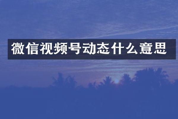 微信视频号动态什么意思