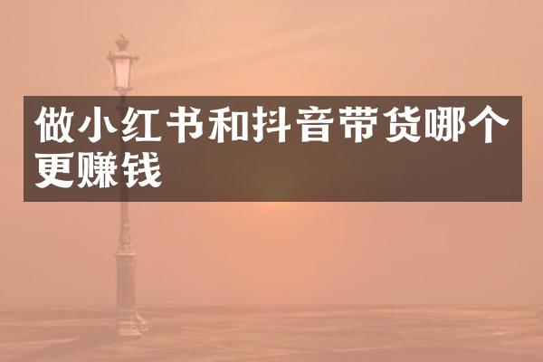 做小红书和抖音带货哪个更赚钱