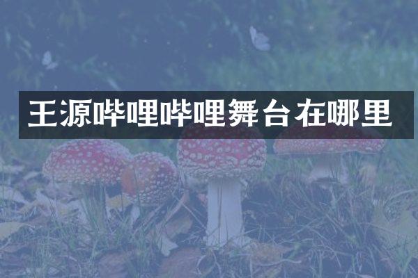 王源哔哩哔哩舞台在哪里