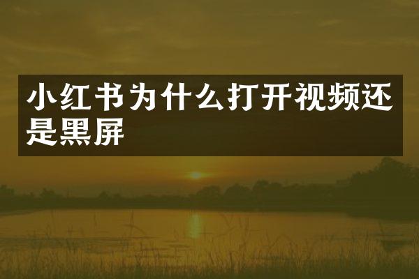 小红书为什么打开视频还是黑屏