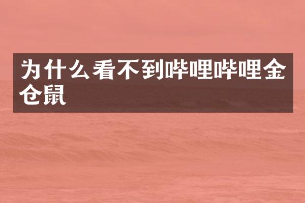 为什么看不到哔哩哔哩金仓鼠