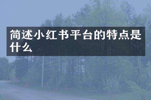 简述小红书平台的特点是什么