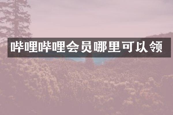 哔哩哔哩会员哪里可以领