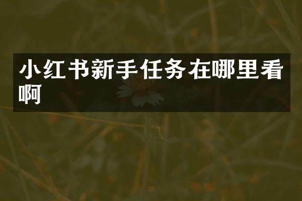 小红书新手任务在哪里看啊