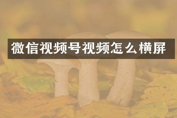 微信视频号视频怎么横屏