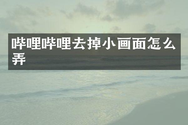 哔哩哔哩去掉小画面怎么弄