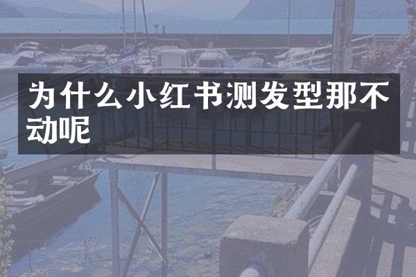 为什么小红书测发型那不动呢