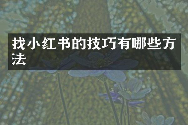 找小红书的技巧有哪些方法