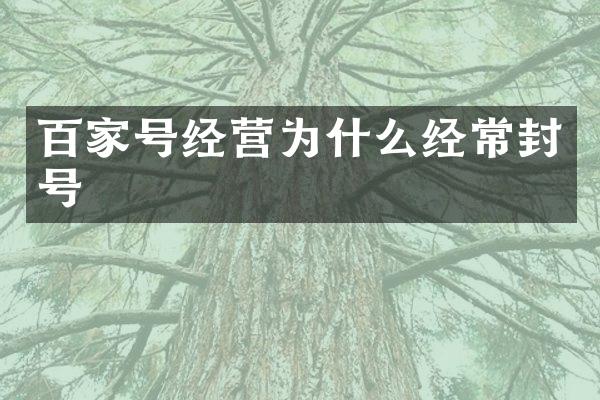 百家号经营为什么经常封号