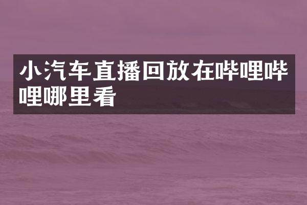 小汽车直播回放在哔哩哔哩哪里看