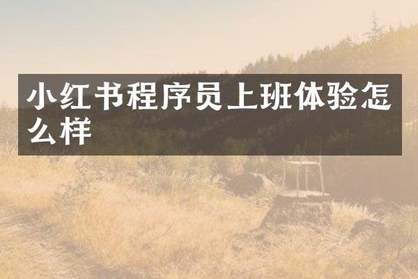 小红书程序员上班体验怎么样