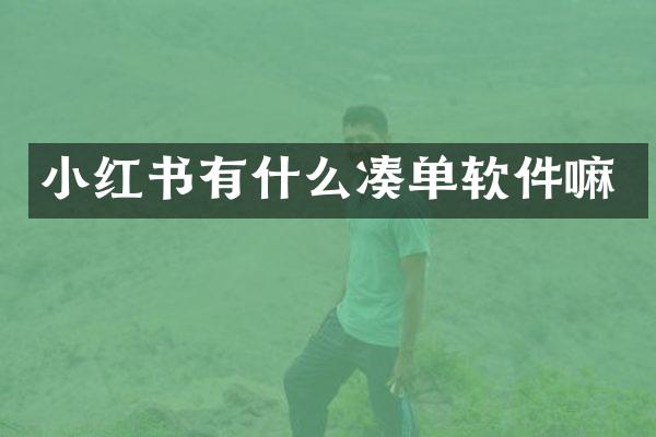 小红书有什么凑单软件嘛