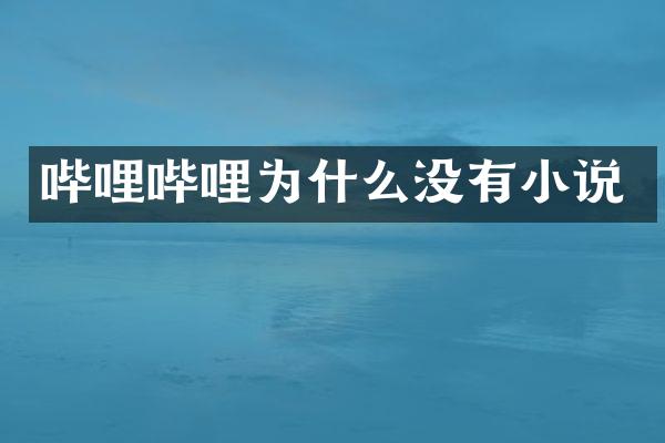 哔哩哔哩为什么没有小说