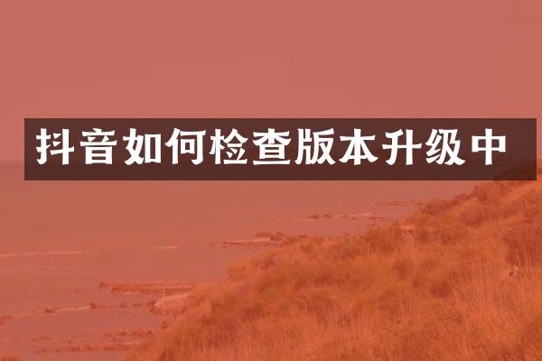 抖音如何检查版本升级中