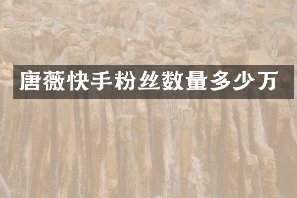 唐薇快手粉丝数量多少万