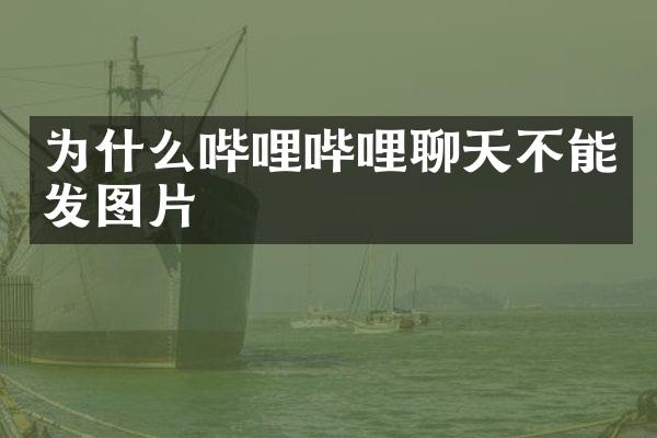 为什么哔哩哔哩聊天不能发图片