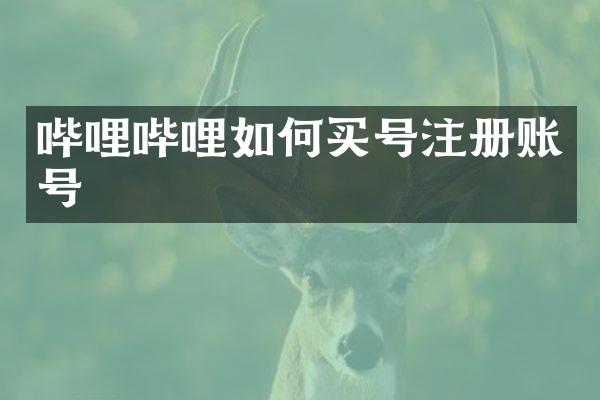 哔哩哔哩如何买号注册账号