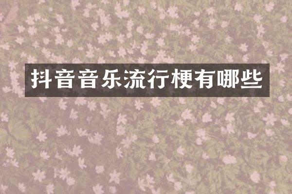 抖音音乐流行梗有哪些