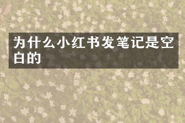 为什么小红书发笔记是空白的