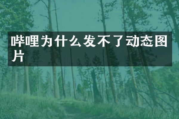 哔哩为什么发不了动态图片