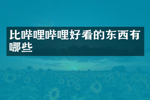 比哔哩哔哩好看的东西有哪些