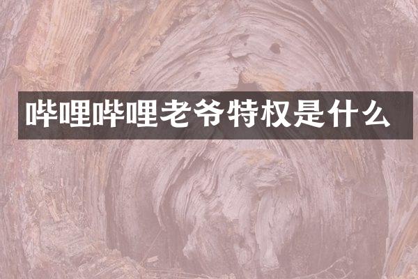 哔哩哔哩老爷特权是什么