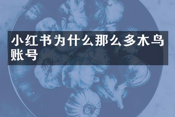 小红书为什么那么多木鸟账号