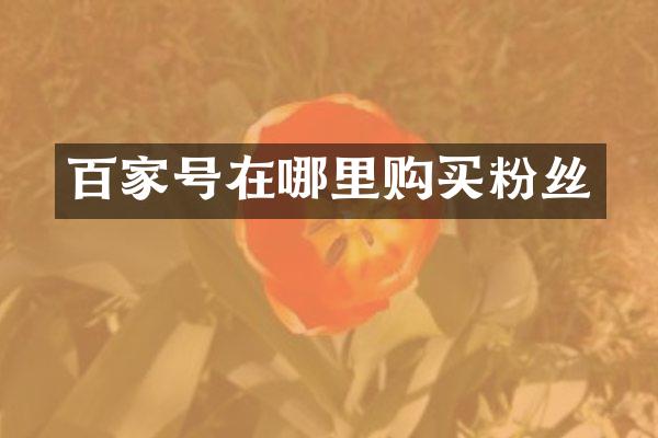 百家号在哪里购买粉丝