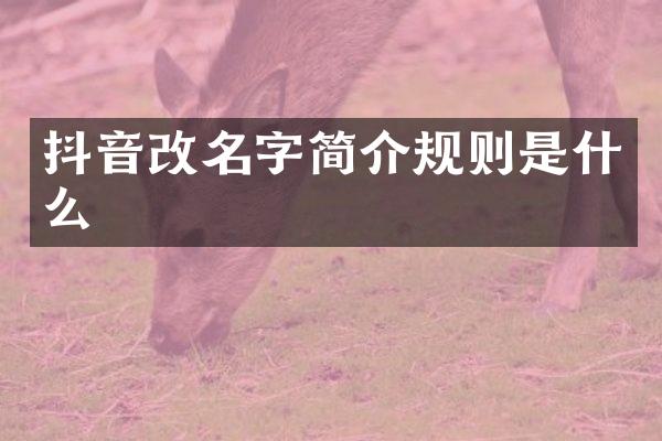 抖音改名字简介规则是什么