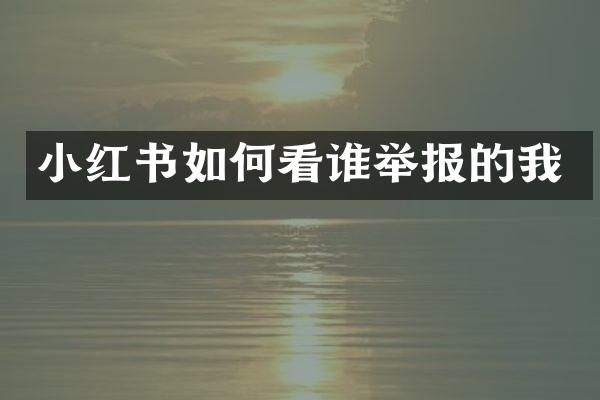小红书如何看谁举报的我