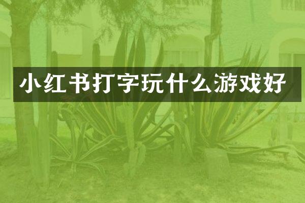 小红书打字玩什么游戏好