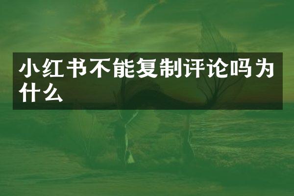小红书不能复制评论吗为什么
