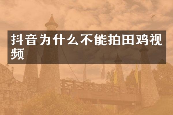 抖音为什么不能拍田鸡视频