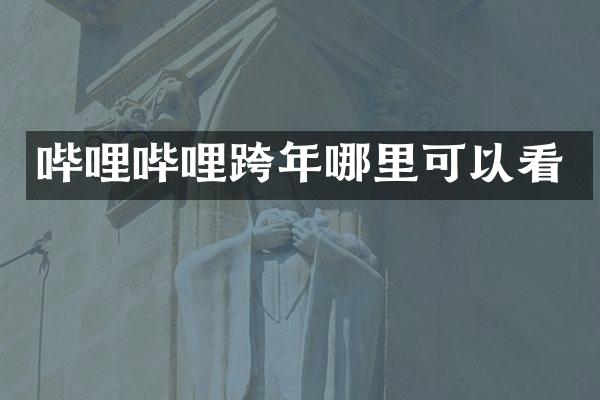 哔哩哔哩跨年哪里可以看