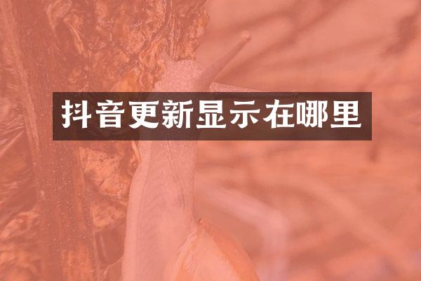 抖音更新显示在哪里
