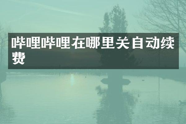 哔哩哔哩在哪里关自动续费