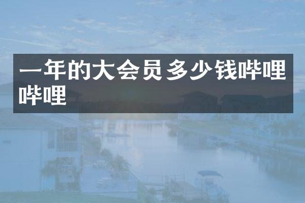 一年的大会员多少钱哔哩哔哩